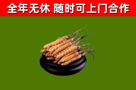 韶山市烟酒回收冬虫夏草.jpg